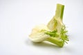 organic fennel and a white background