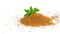 Organic fenugreek seeds in the white background - Text space Royalty Free Stock Photo