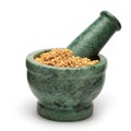 Organic Fenugreek (Trigonella foenum-graecum).