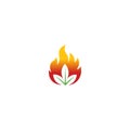 Organic Flame Leaf Fire Leaf Vector Flower Sign With Fire Ignite Leaf Healthy Logo