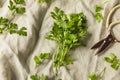 Organic Flat Leaf Italian Parsley