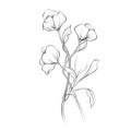 Organic Flowing Forms: Delicate Realism Of A Small Bouquet In One Line Drawing