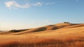 Organic Flowing Forms: Serene Landscapes In Tan Brown Grass