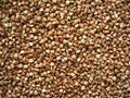Organic-fod treasure: buckwheat
