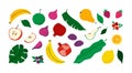 Organic food, abstract autumn fruit set. Nature palm and monstera leaf, fig and pomegranate harvest, strawberry and