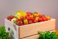 Organic food background Vegetables in the basket. tomatos, pepper, parsley Royalty Free Stock Photo