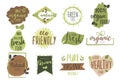 organic food badge collection design illustration