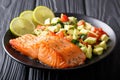 Organic food: baked wild salmon steak and fresh vegetable salad Royalty Free Stock Photo