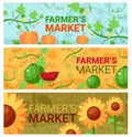 Organic food, banner set, fresh vegetables, natural farm, vegetarian food market, design, in cartoon style vector