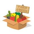 Organic food basket