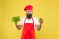 Organic food. cook hold fresh and blended salad smoothie bottle. organic eco vegan products. bearded man chef in apron Royalty Free Stock Photo