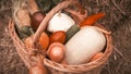 Organic food. Cosy basket full of fresh vegetables - corn, cucumbers, sweet pepper, lettuce, squash, onion on hay