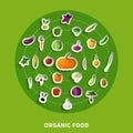 Organic Food Decorative Paper Icons
