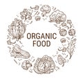 Organic food, healthy dieting and eating vector