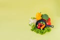 Organic food. Healthy vegetables with broccoli, lettuce, red and yellow sweet pepper, cucumber on a black skillet. Top view. Vegan Royalty Free Stock Photo