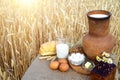 Organic food - milk, bread, eggs, cheese, butter lying on the table, against the background of a wheat field Royalty Free Stock Photo