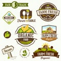 Organic food - Illustration