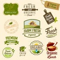 Organic food - Illustration