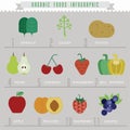 Organic food Info-graphics