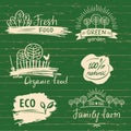 Organic food label and logos set. Farm Fresh label and Logo