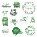 Organic food labels and elements Royalty Free Stock Photo