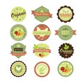 Organic food labels and elements. Illustration eps10 Royalty Free Stock Photo