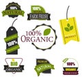 Organic food labels and elements. Royalty Free Stock Photo