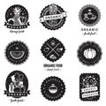 Organic food logo-badges vintage vector set. Hipster and retro style. Perfect for your business. Royalty Free Stock Photo