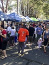 Organic food market Royalty Free Stock Photo