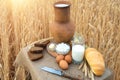 Organic food - milk, bread, eggs, cheese, butter, knife, lying on the table, against the background of a wheat field Royalty Free Stock Photo