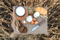 Organic food - milk, bread, eggs, cheese, butter, knife, lying on the table, against the background of a wheat field Royalty Free Stock Photo