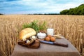 Organic food - milk, bread, eggs, cheese, butter, knife, lying on the table, against the background of a wheat field Royalty Free Stock Photo