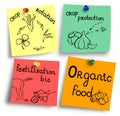 Organic food the most important factors illustration.