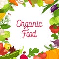 Organic vegetables fresh veggies, salads spice natural herb vegetarian food vector poster Royalty Free Stock Photo