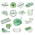 Organic food stickers and elements. Royalty Free Stock Photo