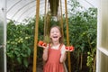 Organic food. summer in countryside. growing vegetables in garden in greenhouse. happy child girl holding red ripe tomatoes Royalty Free Stock Photo