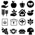 Organic food vector icon set. Collection of icons of healthy. diet illustration sign or logo.