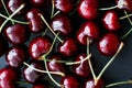 Fresh sweet cherries, juicy cherry berries fruit dessert as healthy diet background
