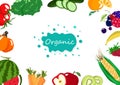Organic food, vegetables and fruits, healthy food collection balance diet, market banner poster creative background vector Royalty Free Stock Photo