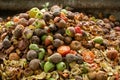 Organic food waste background. Bio waste bin. Kitchen food scraps including fruit and vegetables -tomato pear apple