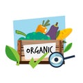 Organic food in wood bucket with magnifier and check mark. Forganic - checking - vector illustration