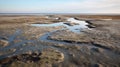 Organic Formations In The Arctic Marsh A Dutch Marine Scene