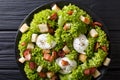 Organic French Lyonnaise salad with lettuce, bacon, croutons and Royalty Free Stock Photo