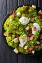 Organic French Lyonnaise salad with lettuce, bacon, croutons and Royalty Free Stock Photo