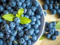 Organic fresh blueberries in bowl with mint leaves on a wooden table.