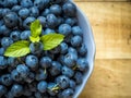 Organic fresh blueberries in bowl with mint leaves on a wooden table.