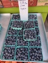 Organic fresh blueberries on a tray in front of a fruit stand on bloor Street in Toronto on March 30th 2023