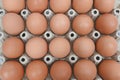 organic fresh brown eggs in cardboard egg tray, Royalty Free Stock Photo