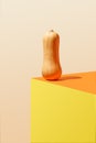Organic fresh butter squash seats on the corner of the table. Pastel beige background. Still life abstract concept