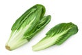 Organic fresh chard plant isolated on white background with full depth of field. Top view. Flat lay Royalty Free Stock Photo